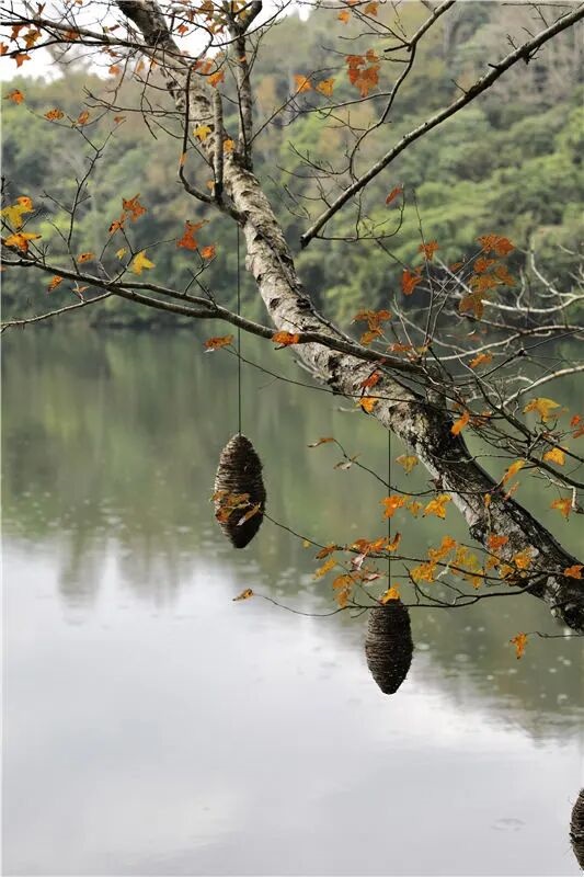 微信图片_2026-04-03_101437_439.jpg
