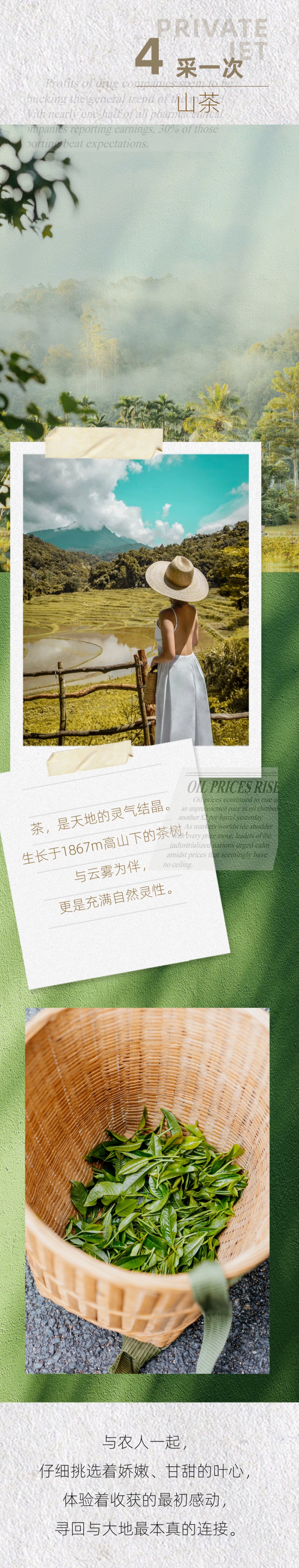 微信图片_2026-04-07_115127_888.jpg