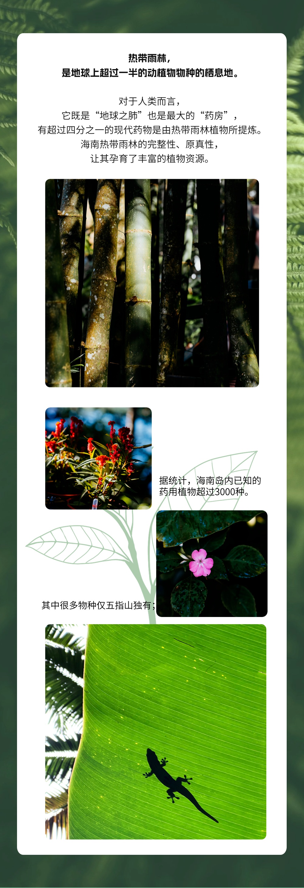 微信图片_2026-04-14_175733_087.jpg