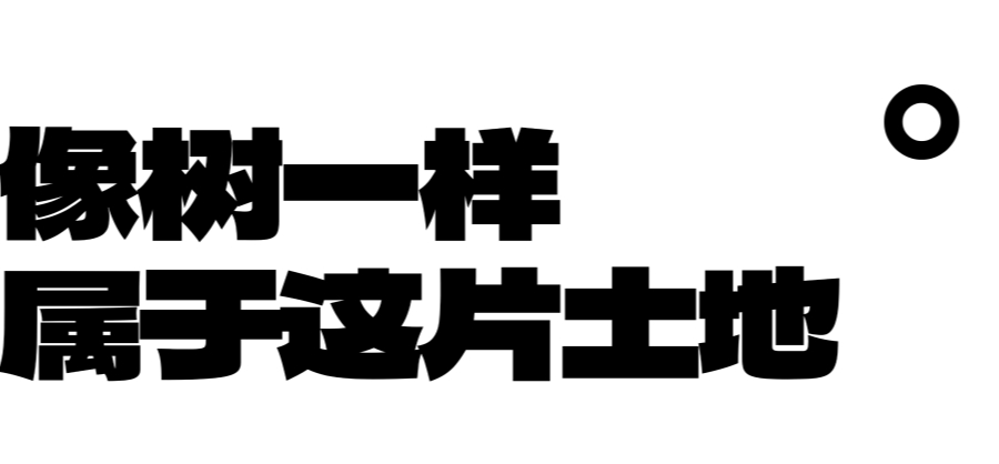 微信图片_2026-04-17_091145_665.jpg