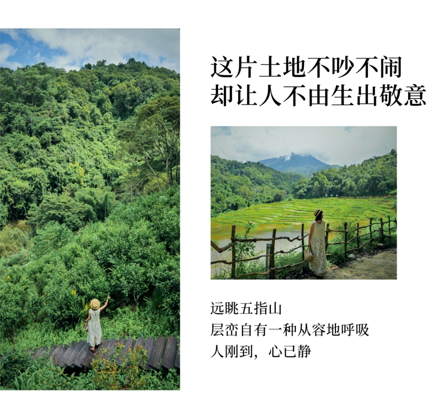微信图片_2026-04-17_091149_173.jpg