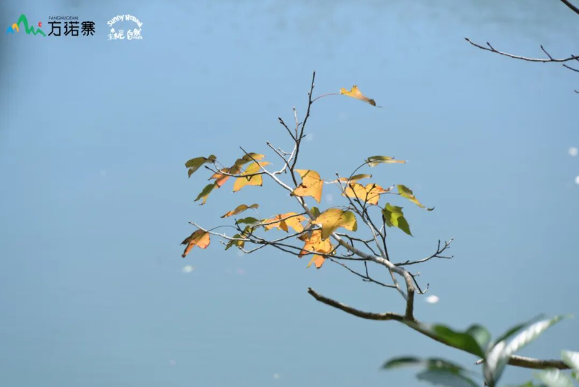 QQ20260424-143604.jpg
