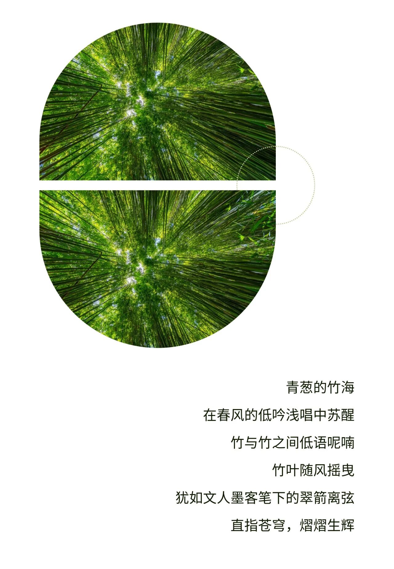 微信图片_2026-05-08_180938_442.jpg