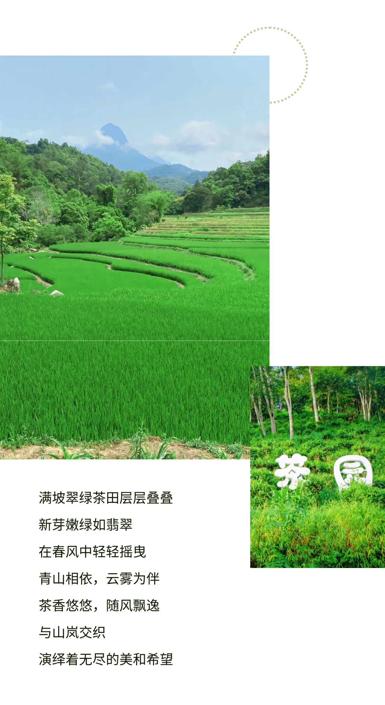 微信图片_2026-05-08_180941_177.jpg
