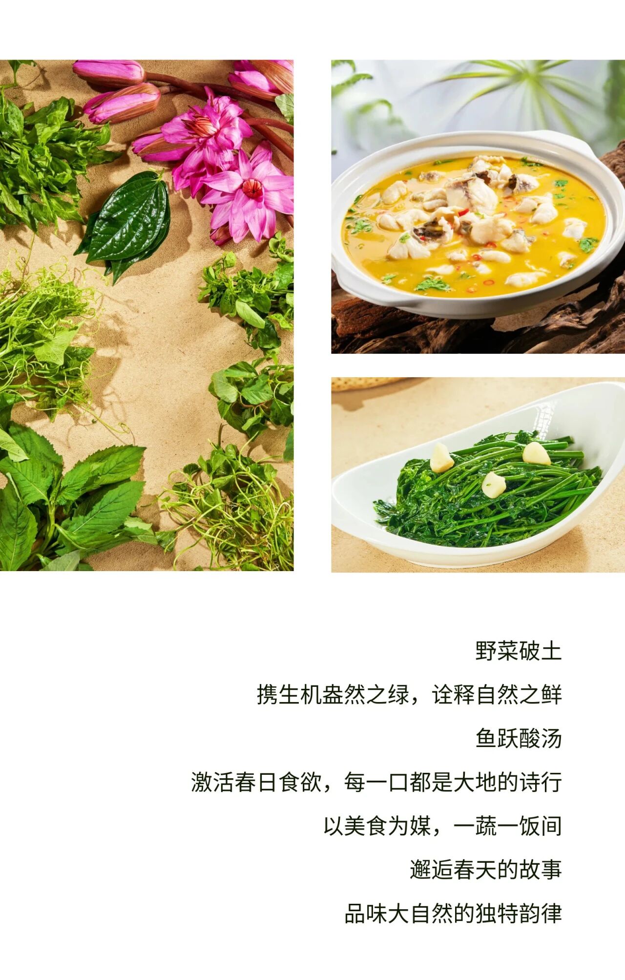 微信图片_2026-05-08_180949_437.jpg