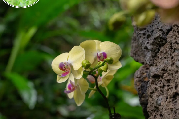 QQ20260513-091607.jpg