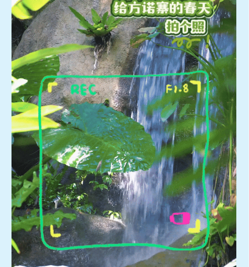 QQ20260630-112439.jpg